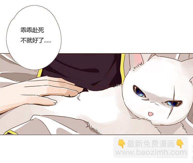 第七章 刺杀(1/2)-第7话