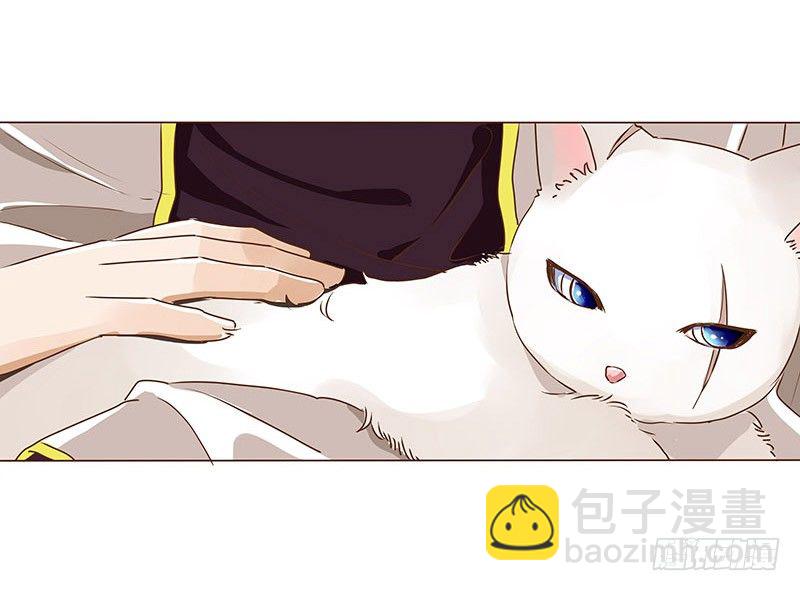第七章 刺杀(1/2)-第7话