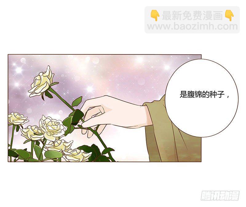 六十九章 腹锦(1/2)-第71话