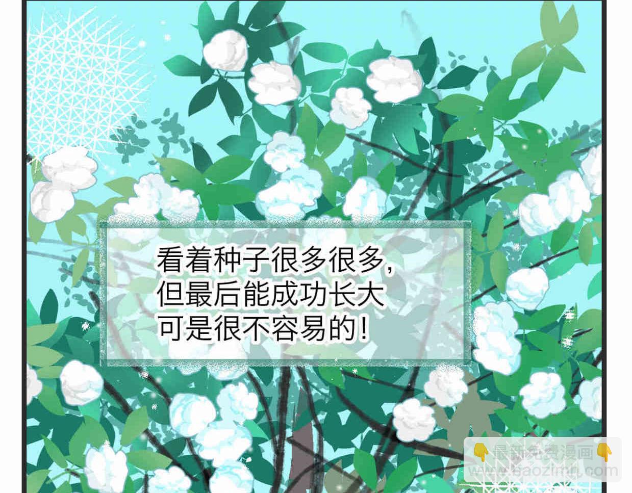 113.木棉花的种子-第113话