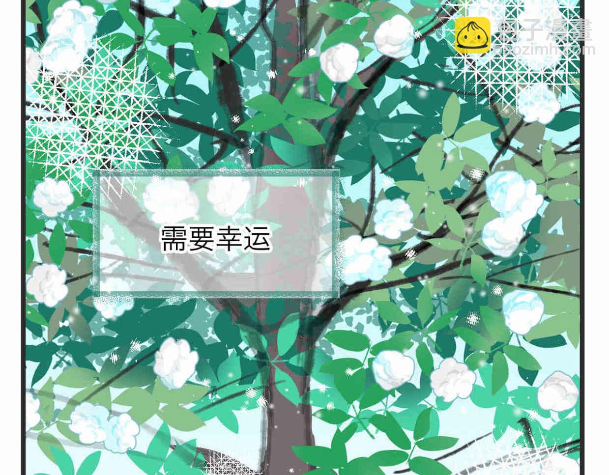 113.木棉花的种子-第113话