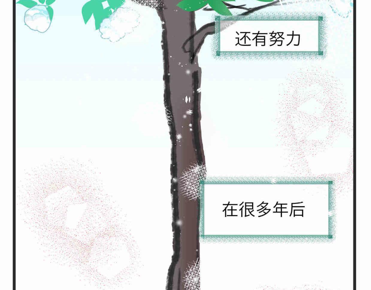 113.木棉花的种子-第113话