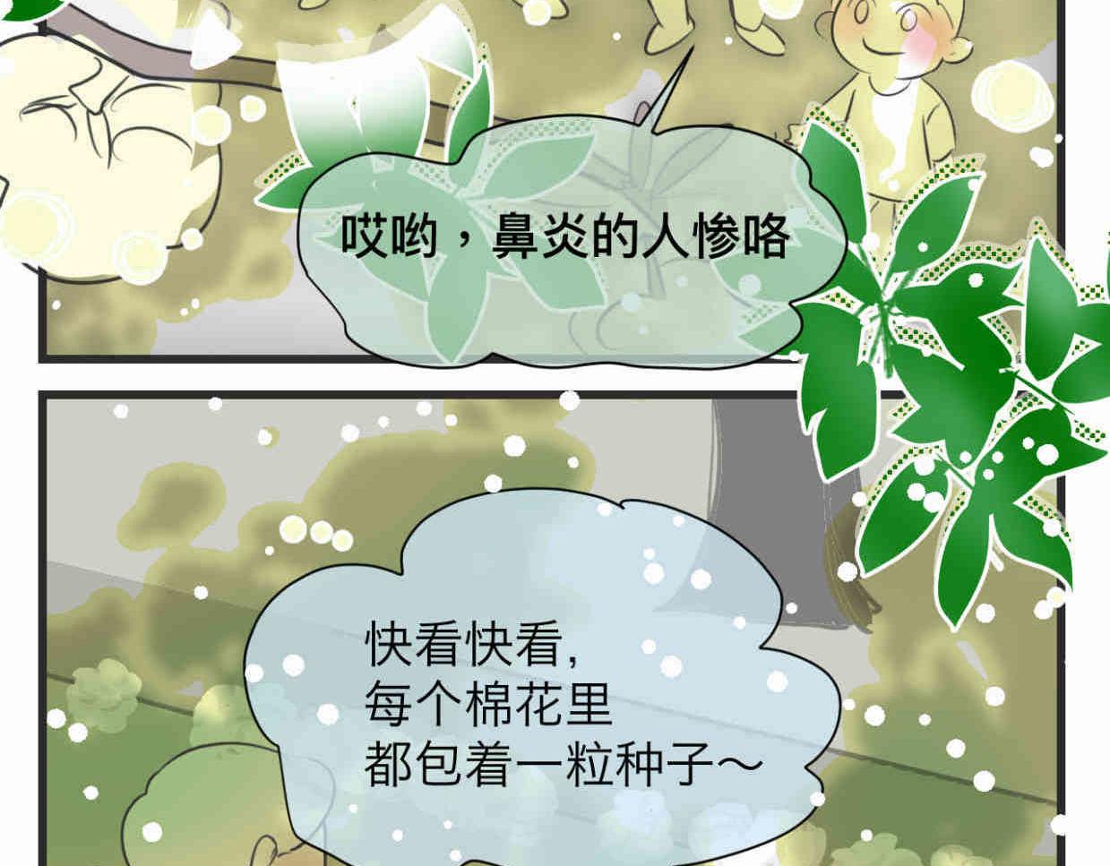 113.木棉花的种子-第113话