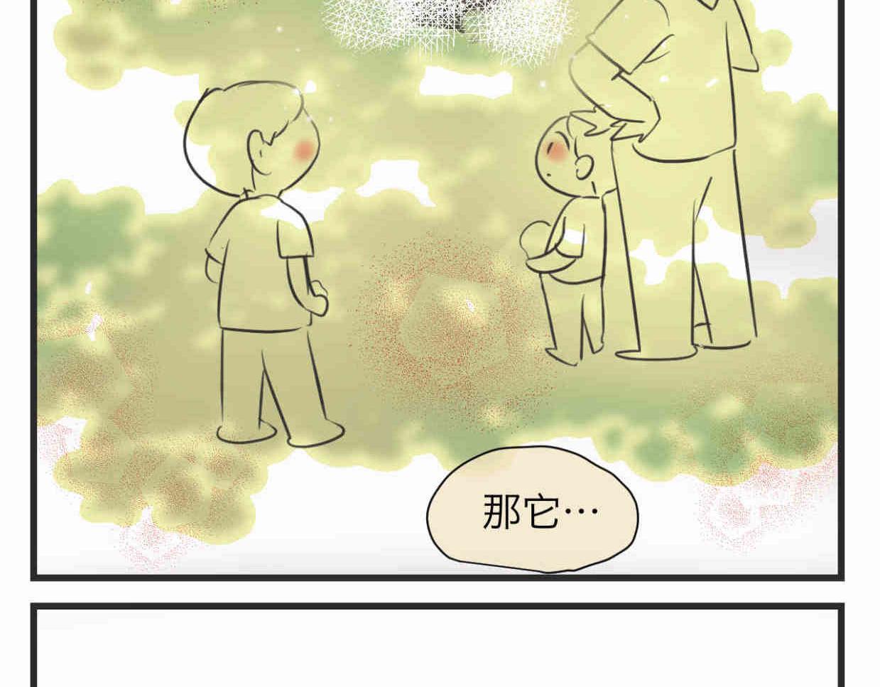 113.木棉花的种子-第113话