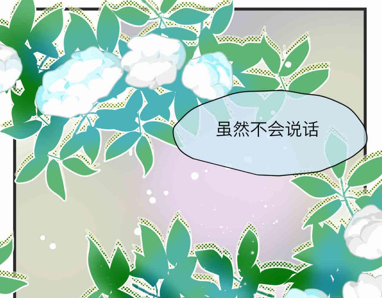 113.木棉花的种子-第113话