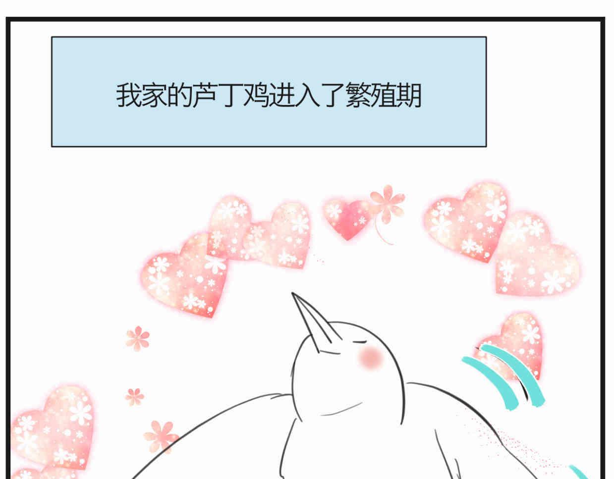 119.小鸡的爱情-第119话