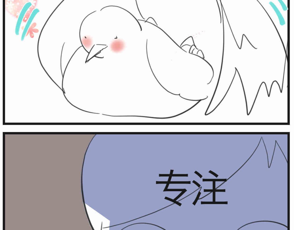 119.小鸡的爱情-第119话