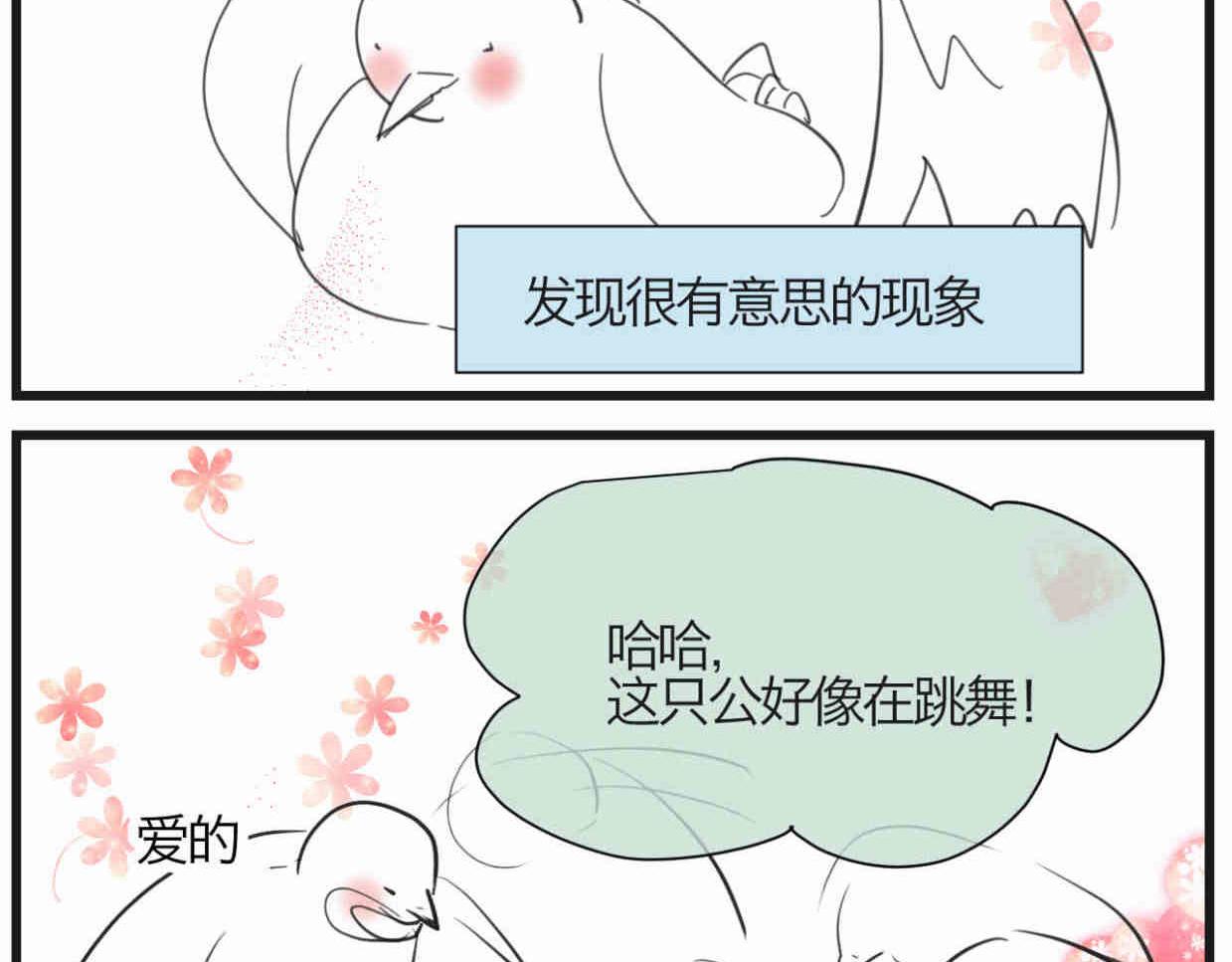 119.小鸡的爱情-第119话