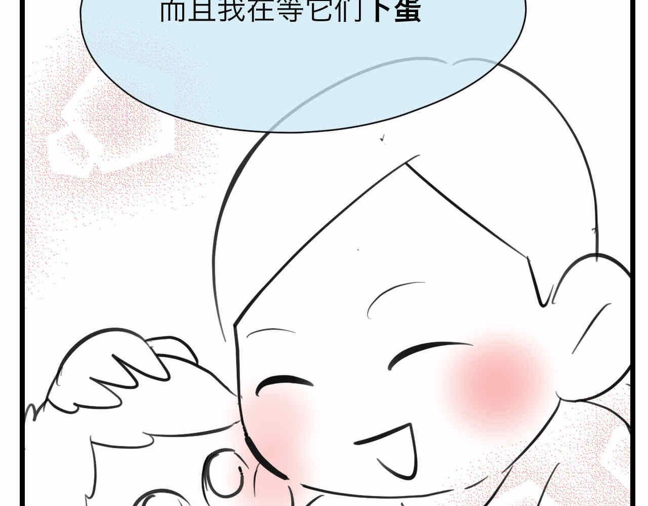 81.网红小鸡-第81话