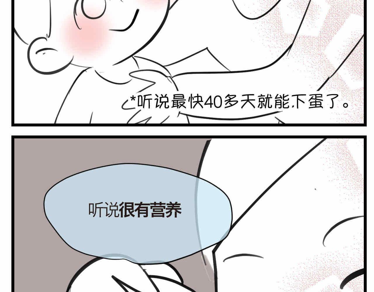 81.网红小鸡-第81话