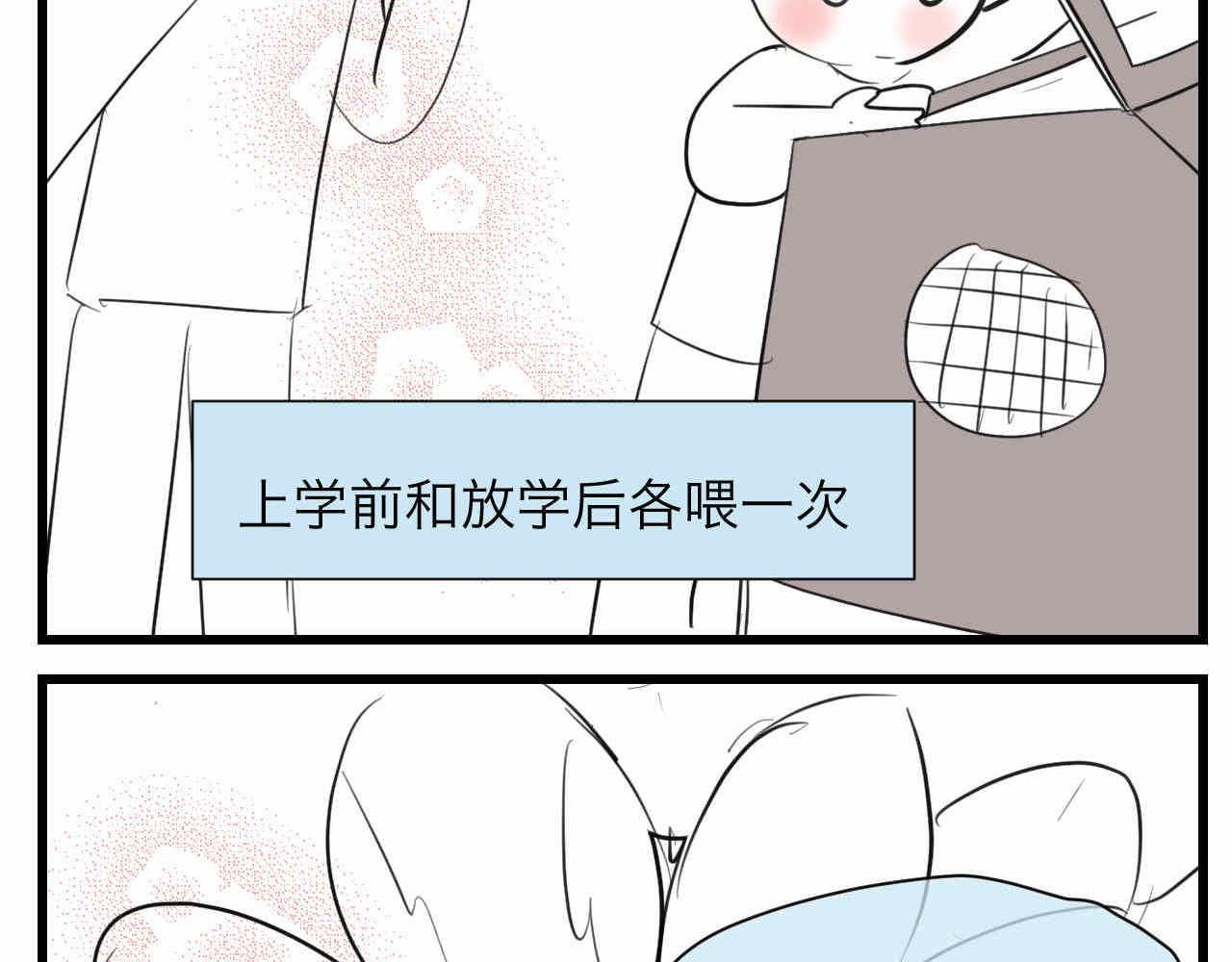 81.网红小鸡-第81话