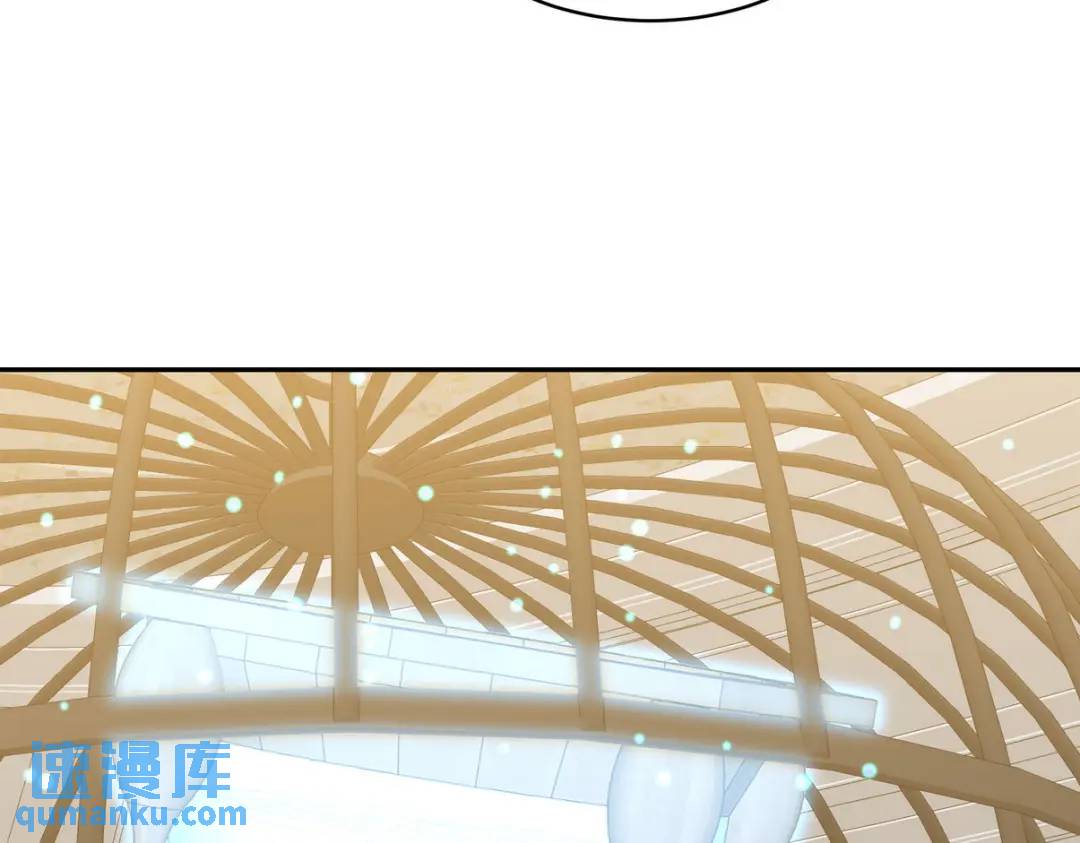 236 聚灵阵(1/2)-第219话