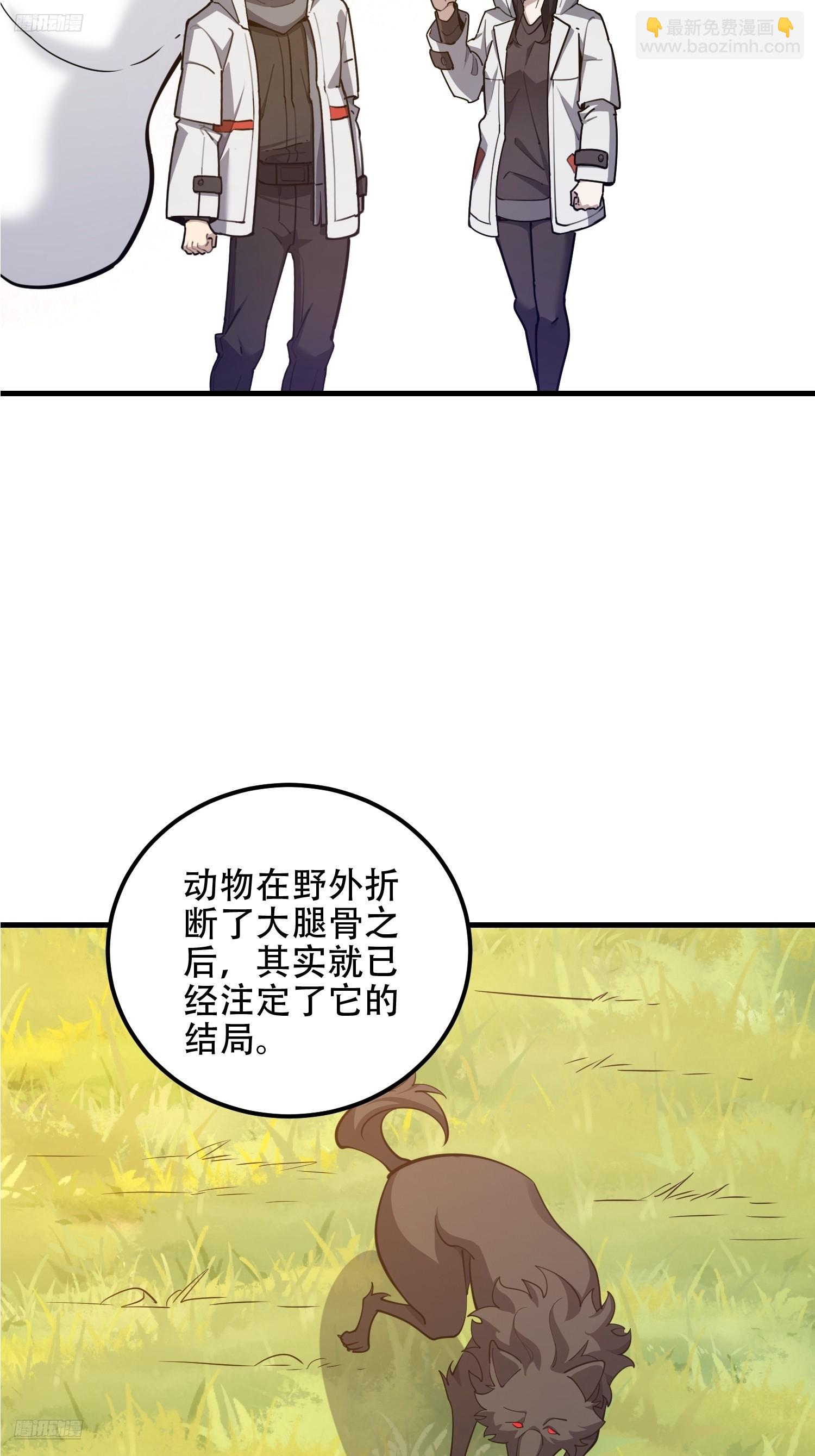 🍼第一序列 551 桃树停止生长 第3页