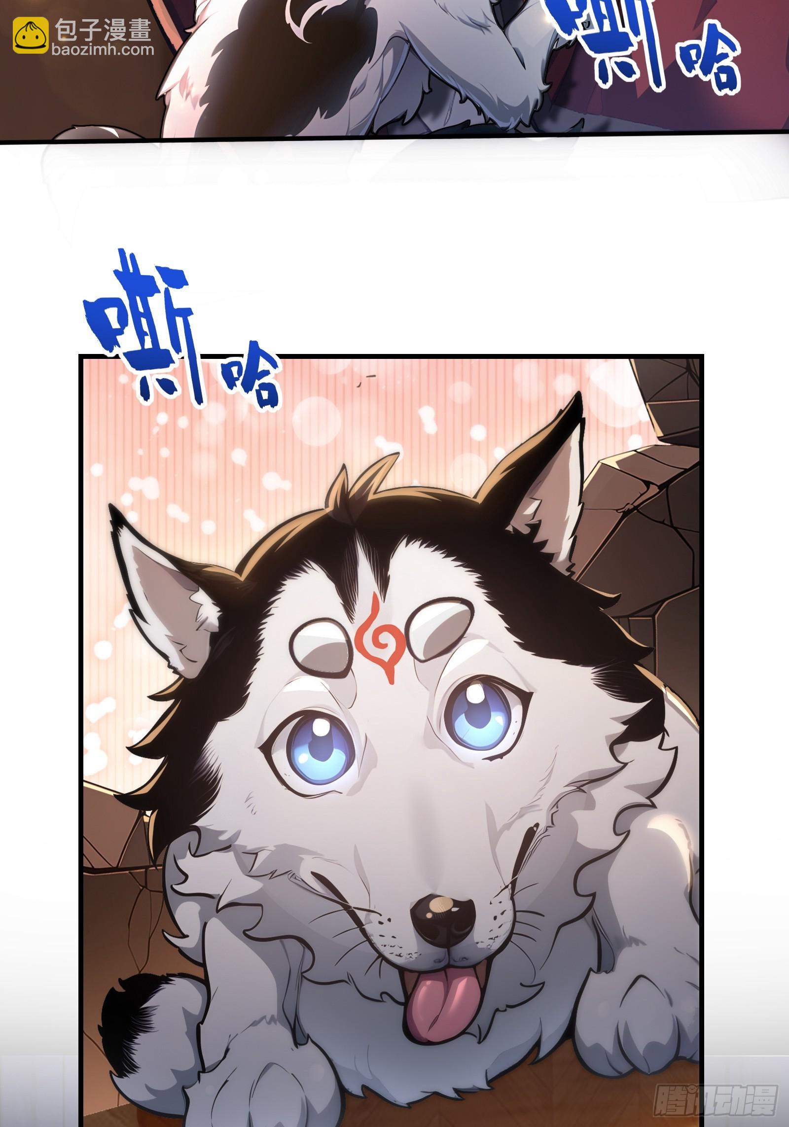 1 一人一狗(1/2)-第1话