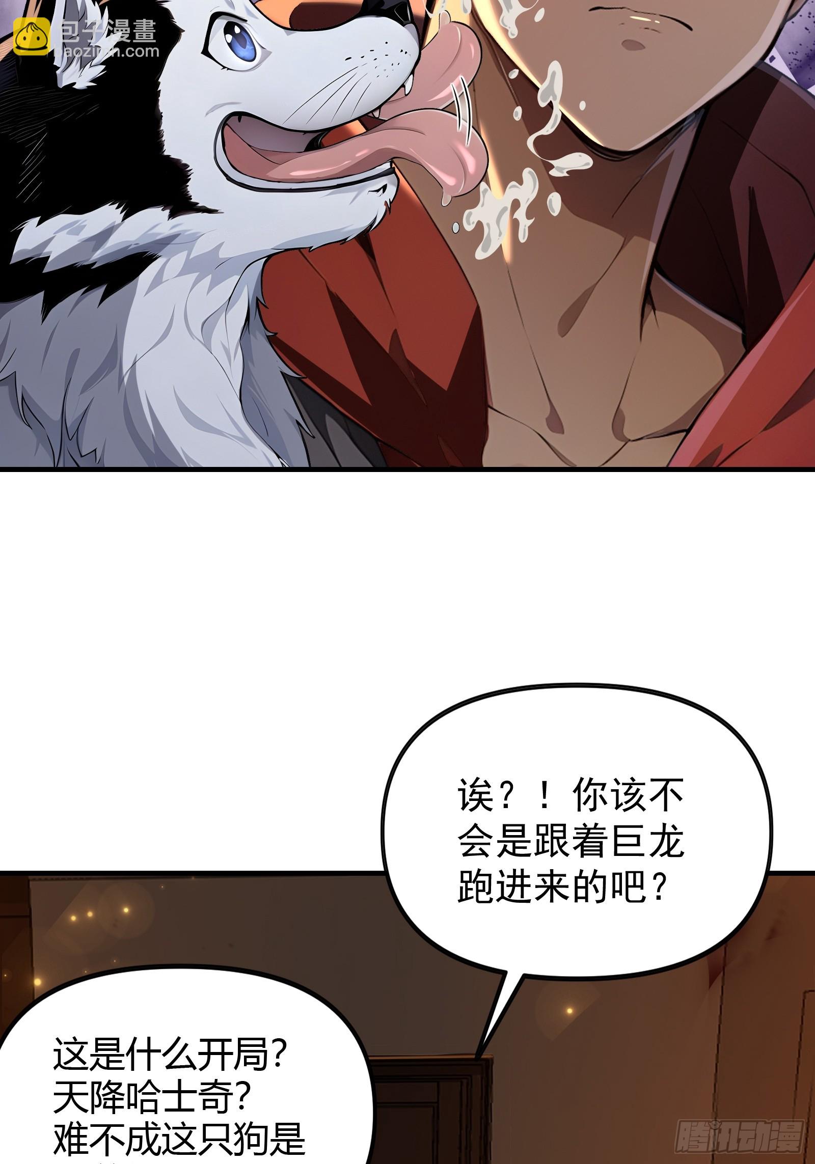 1 一人一狗(1/2)-第1话