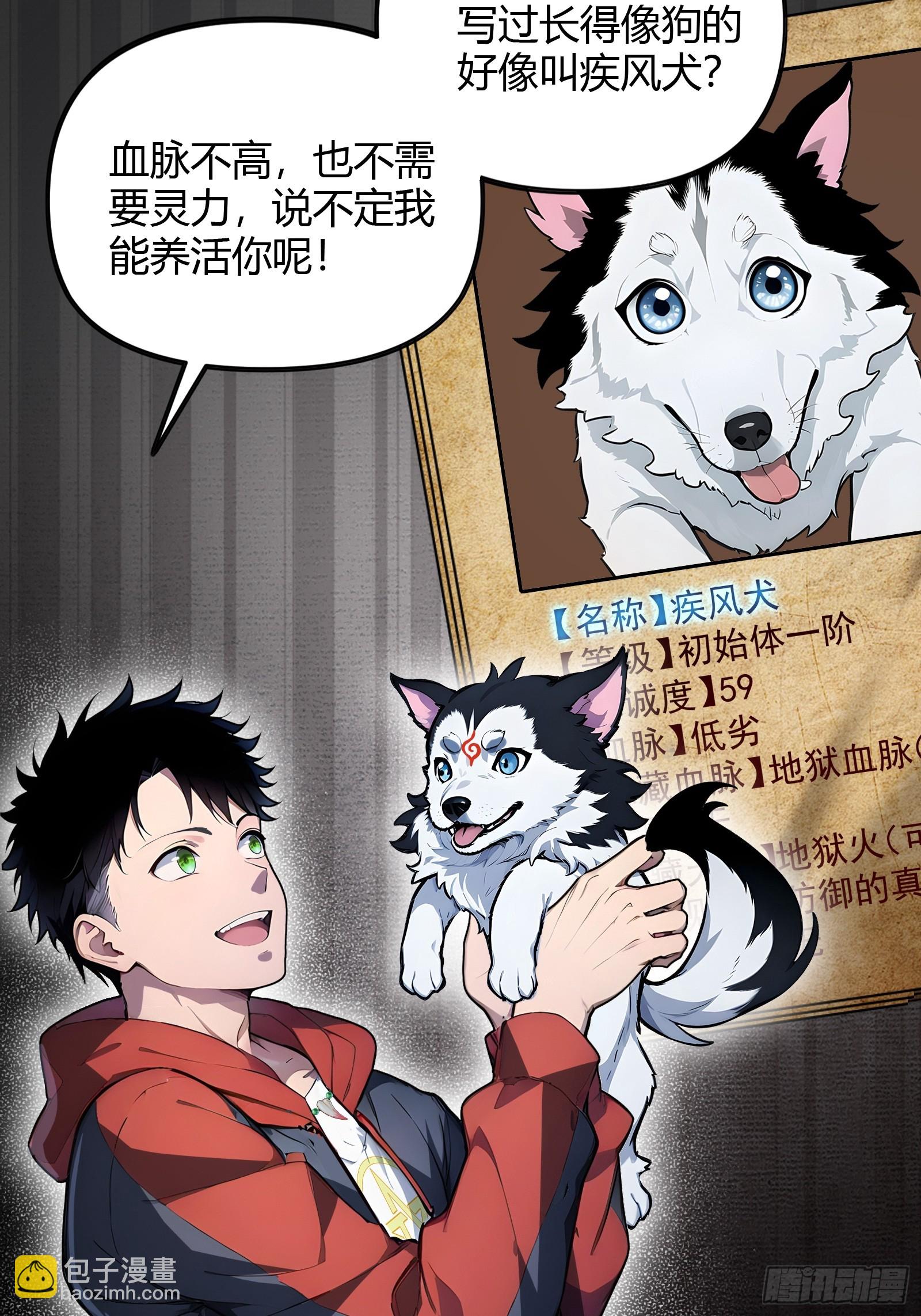1 一人一狗(1/2)-第1话