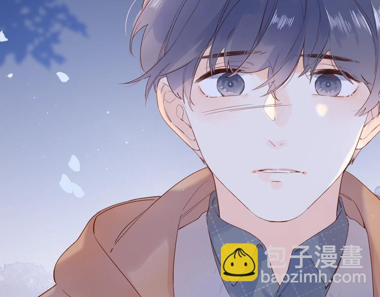 第78话 天鹅的影子-第95话