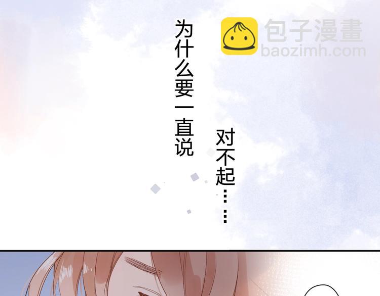 第78话 天鹅的影子-第95话