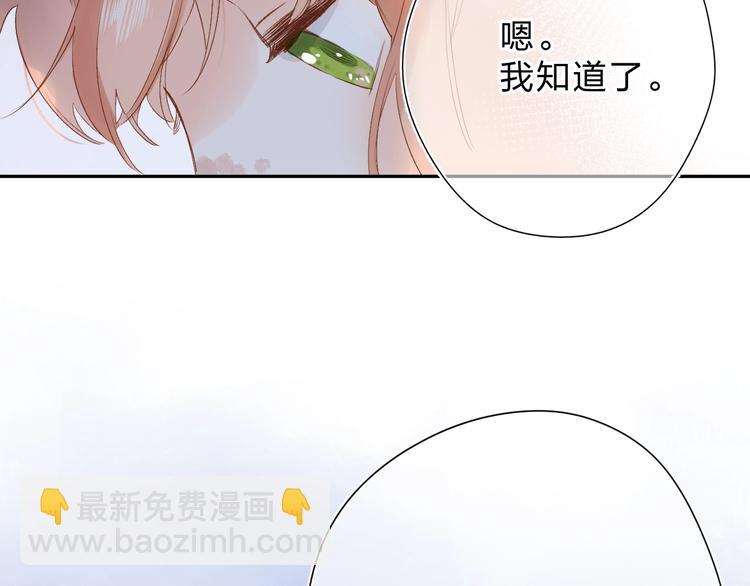 第78话 天鹅的影子-第95话