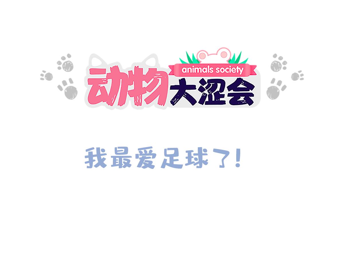 我最爱足球了-第37话