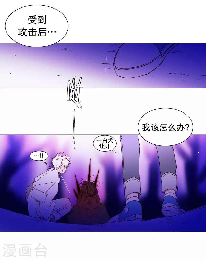 第145话 项链-第145话