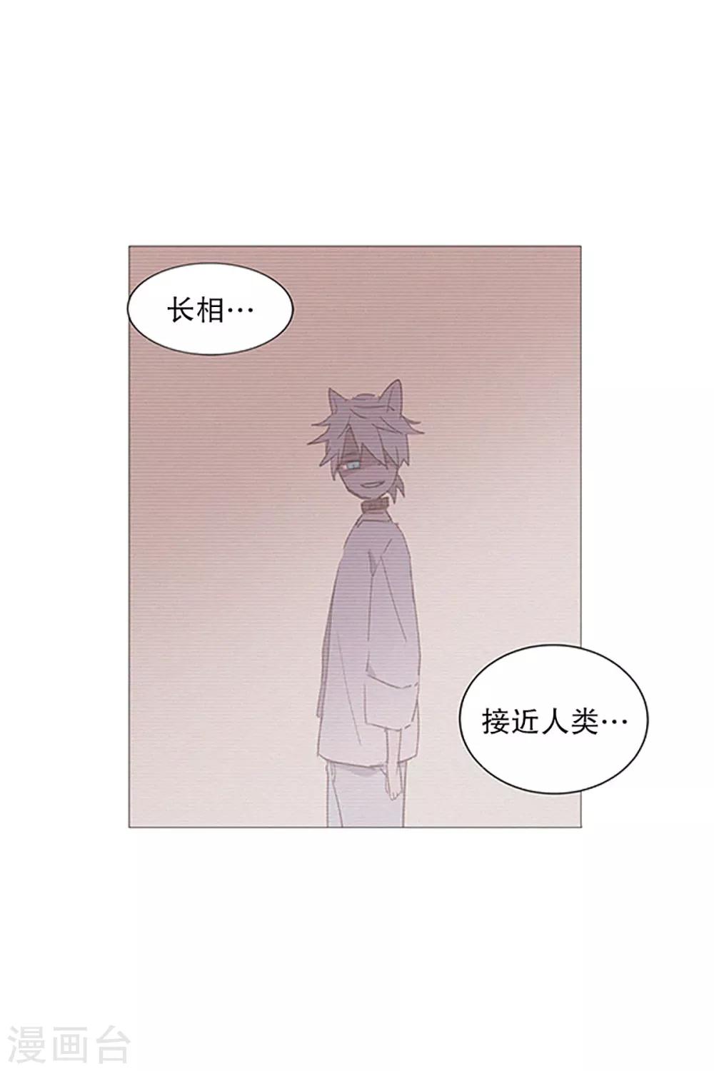 第19话 回家-第19话