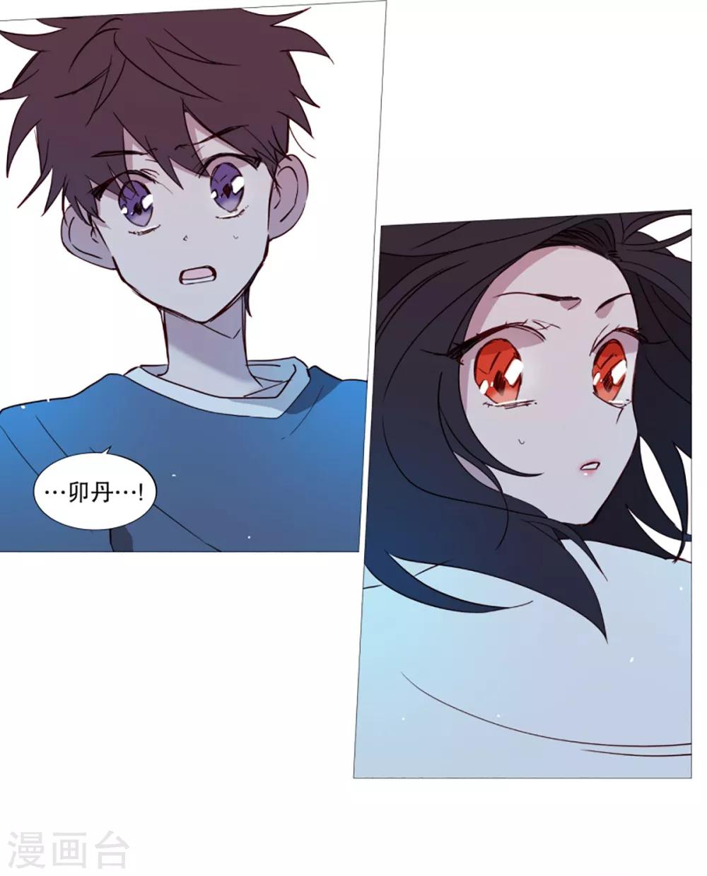 第41话 小鸡灵的选择2-第41话