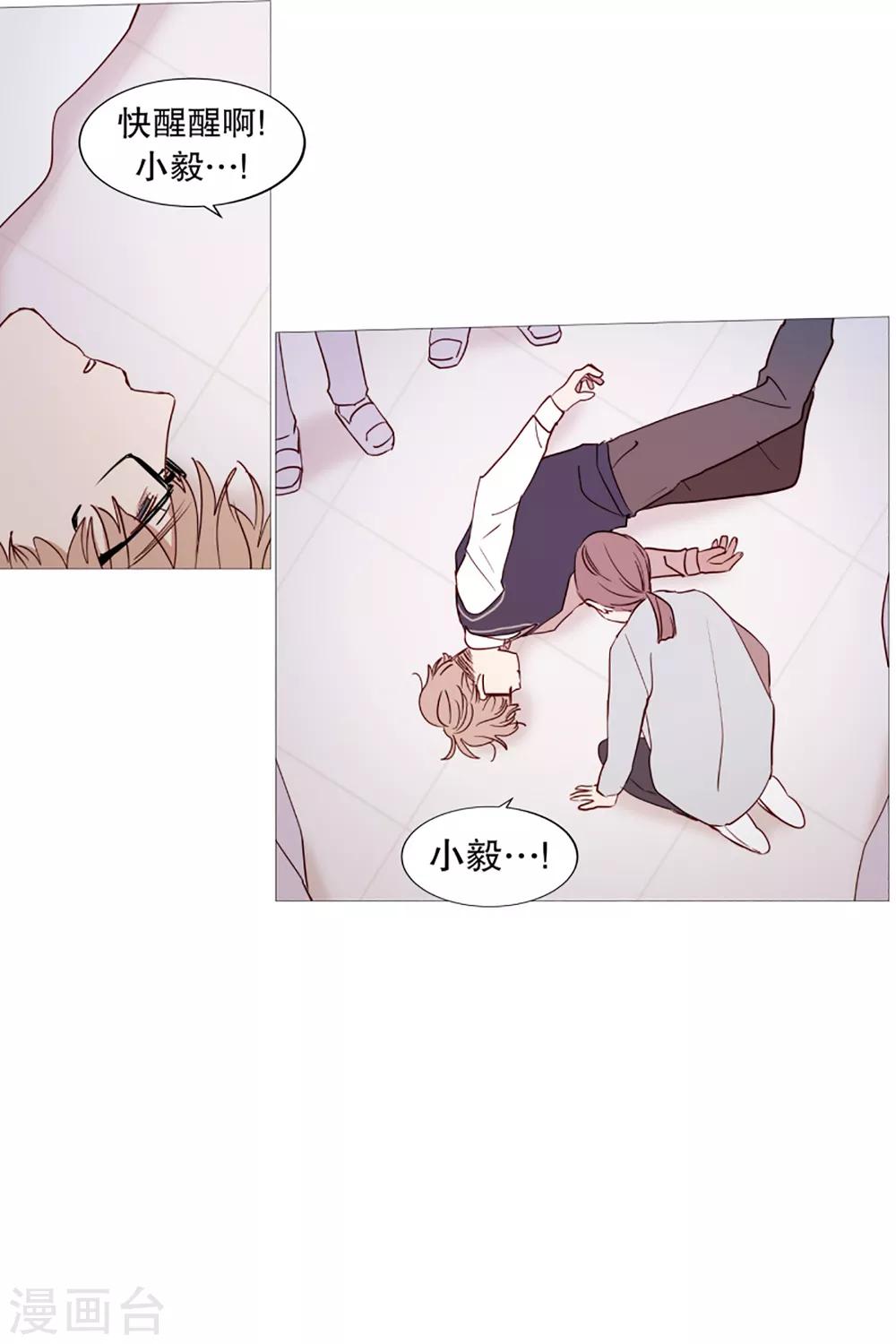 第41话 小鸡灵的选择2-第41话