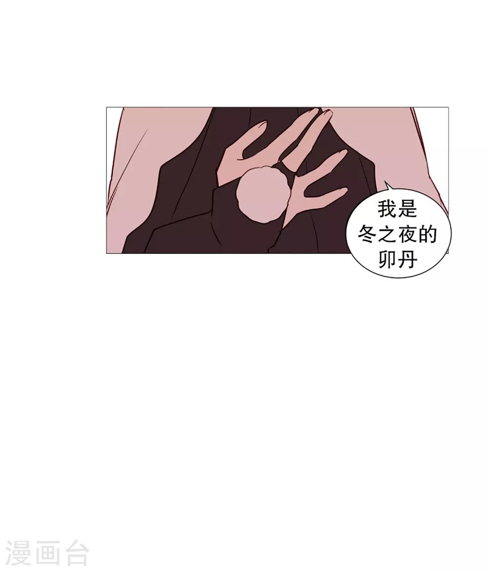 第41话 小鸡灵的选择2-第41话