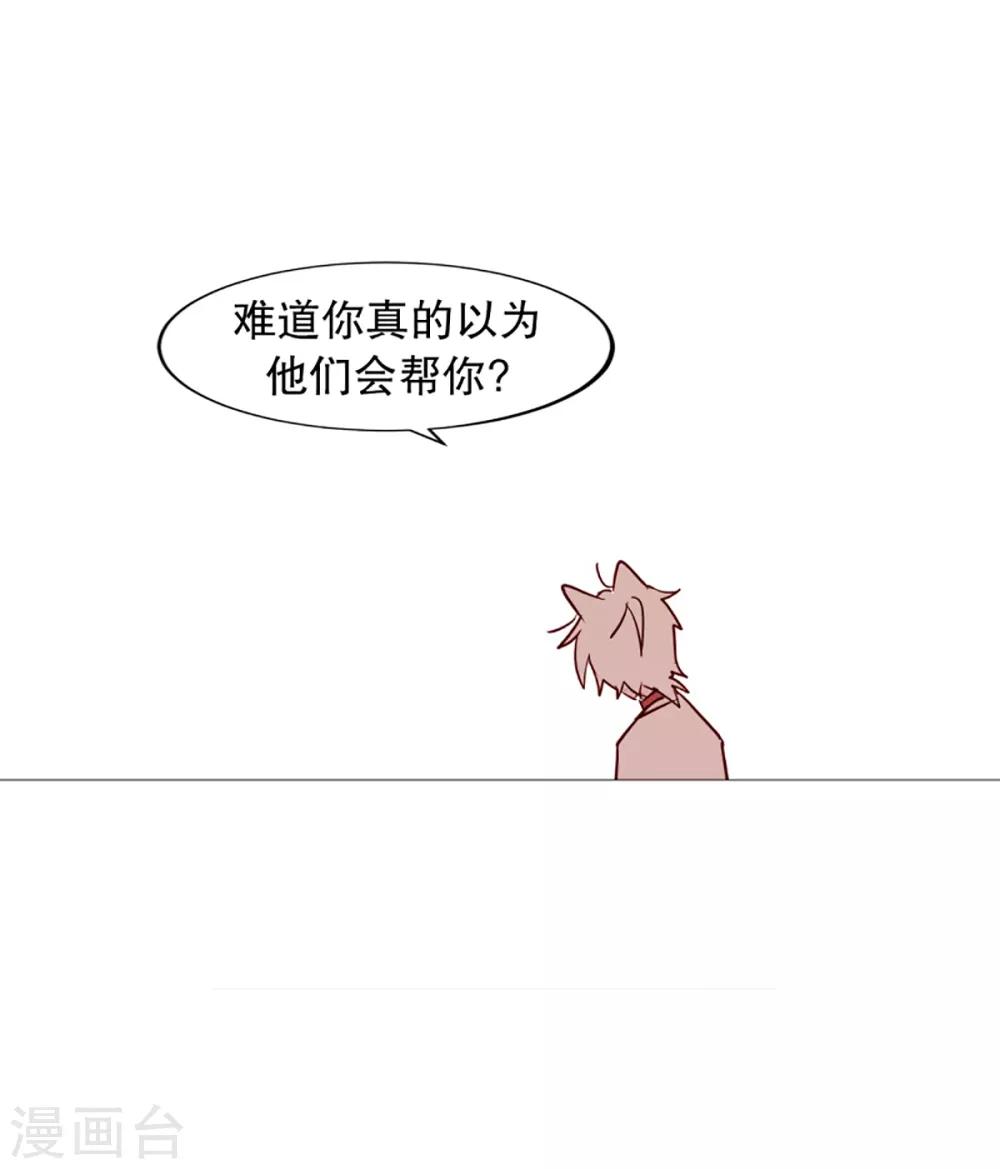 第41话 小鸡灵的选择2-第41话