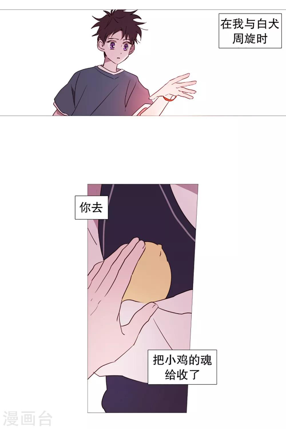 第53话 小毅与小鸡-第53话