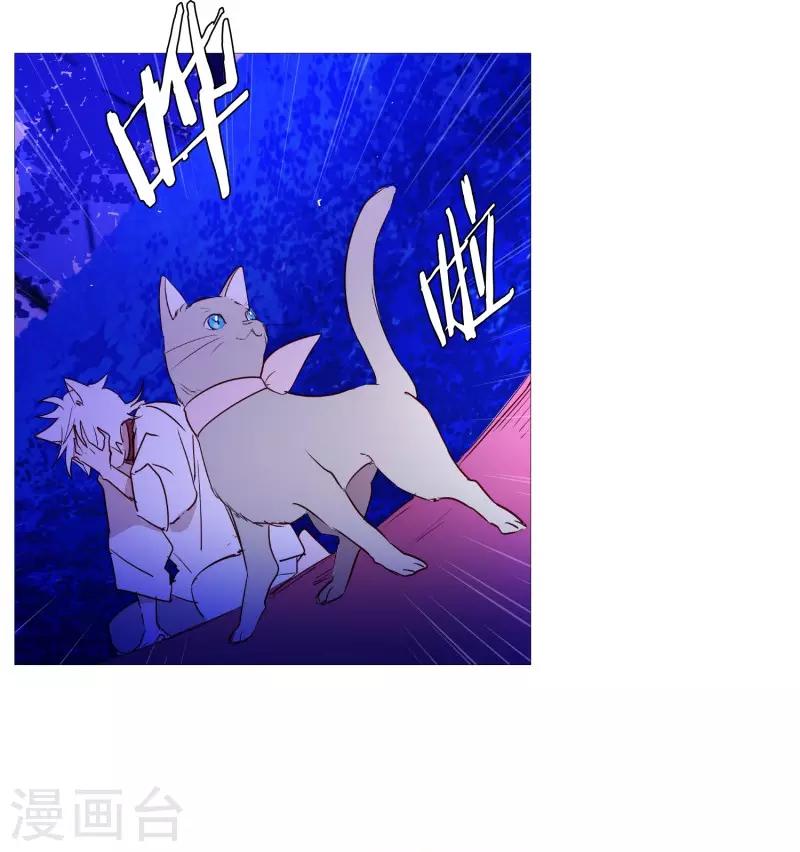 第65话 猫灵-第65话