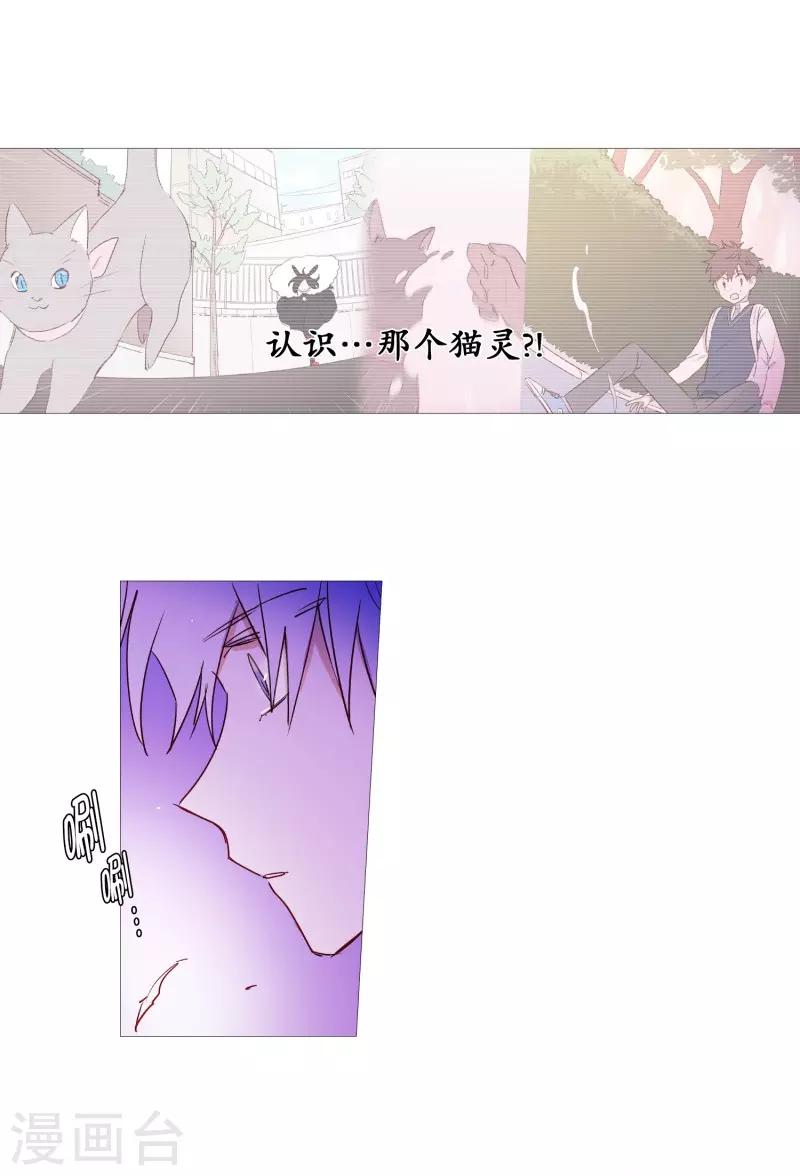 第65话 猫灵-第65话