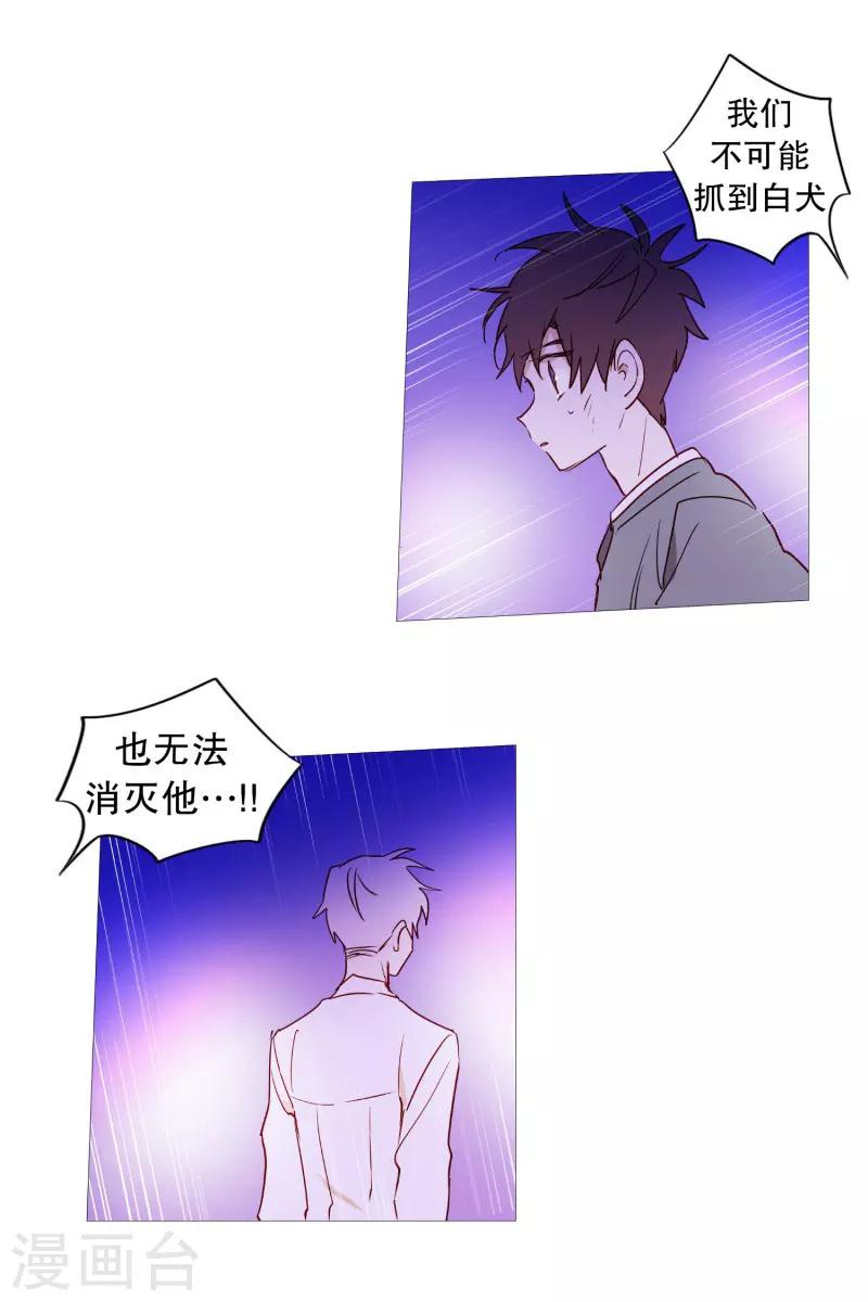 第65话 猫灵-第65话