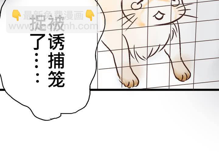#18 [新章] 名為[感情]的花蕾...(1/2)-第21话