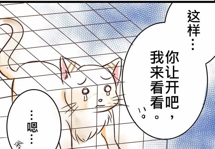 #18 [新章] 名為[感情]的花蕾...(1/2)-第21话
