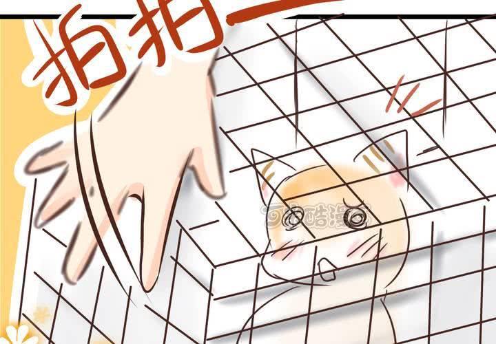 #18 [新章] 名為[感情]的花蕾...(1/2)-第21话
