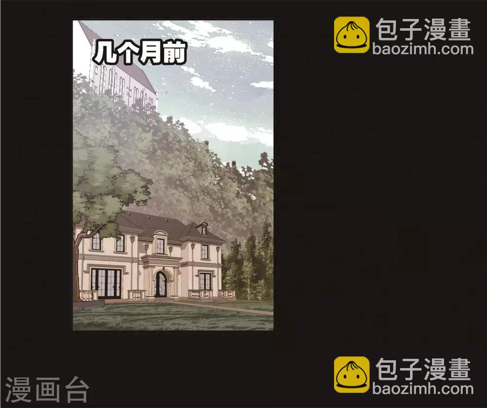 🍼斗罗大陆 第689话 勤奋的凤凰1 第2页