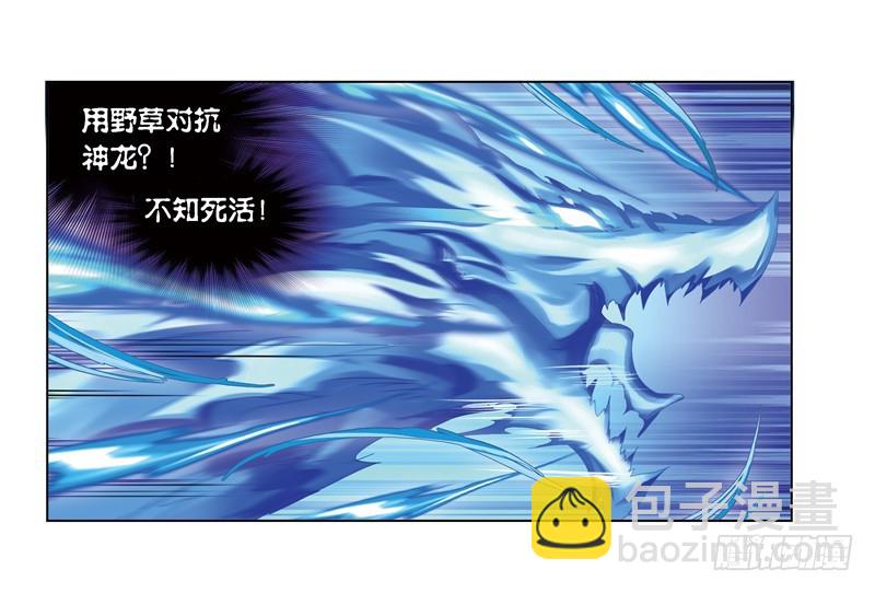🍼斗罗大陆 第242话 死斗（2） 第6页