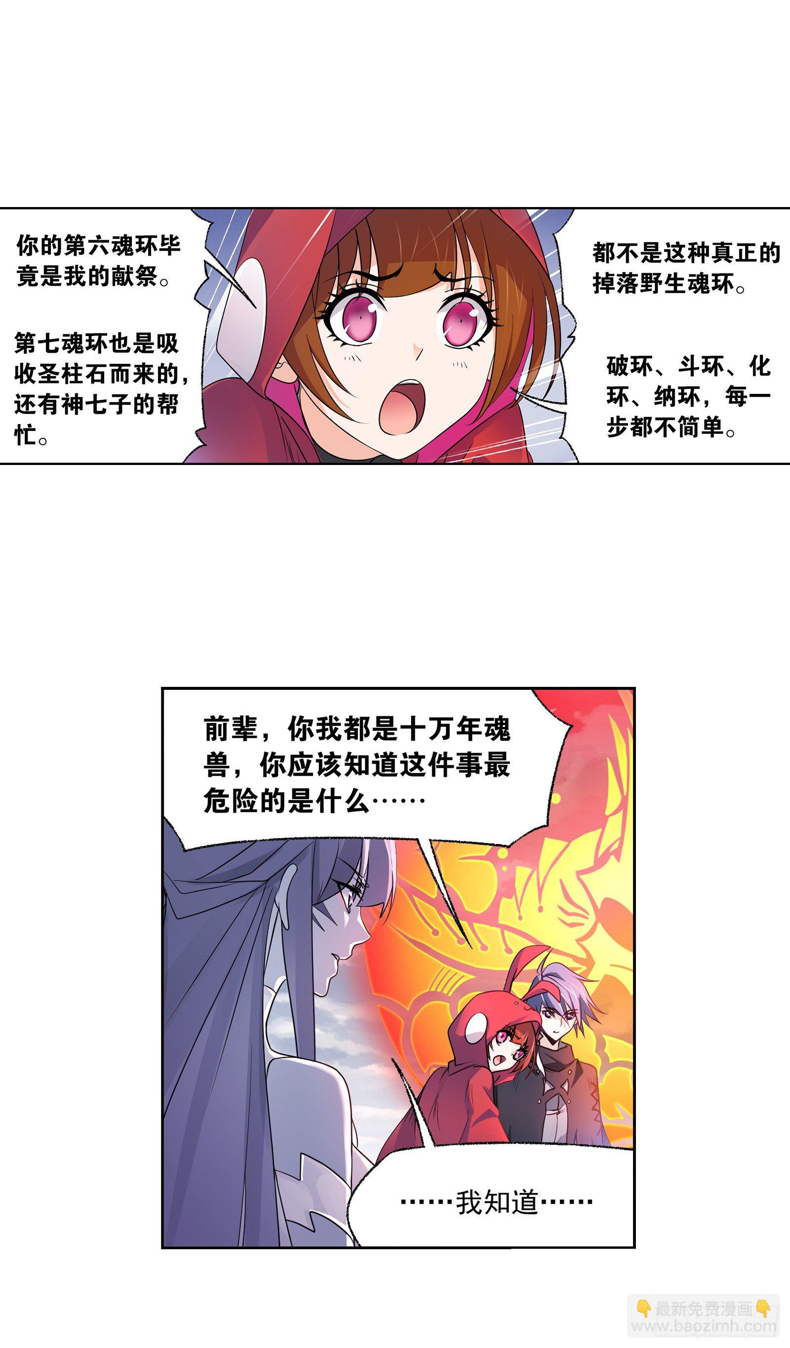 🍼斗罗大陆 第322话 纳十万年魂环（2） 第3页