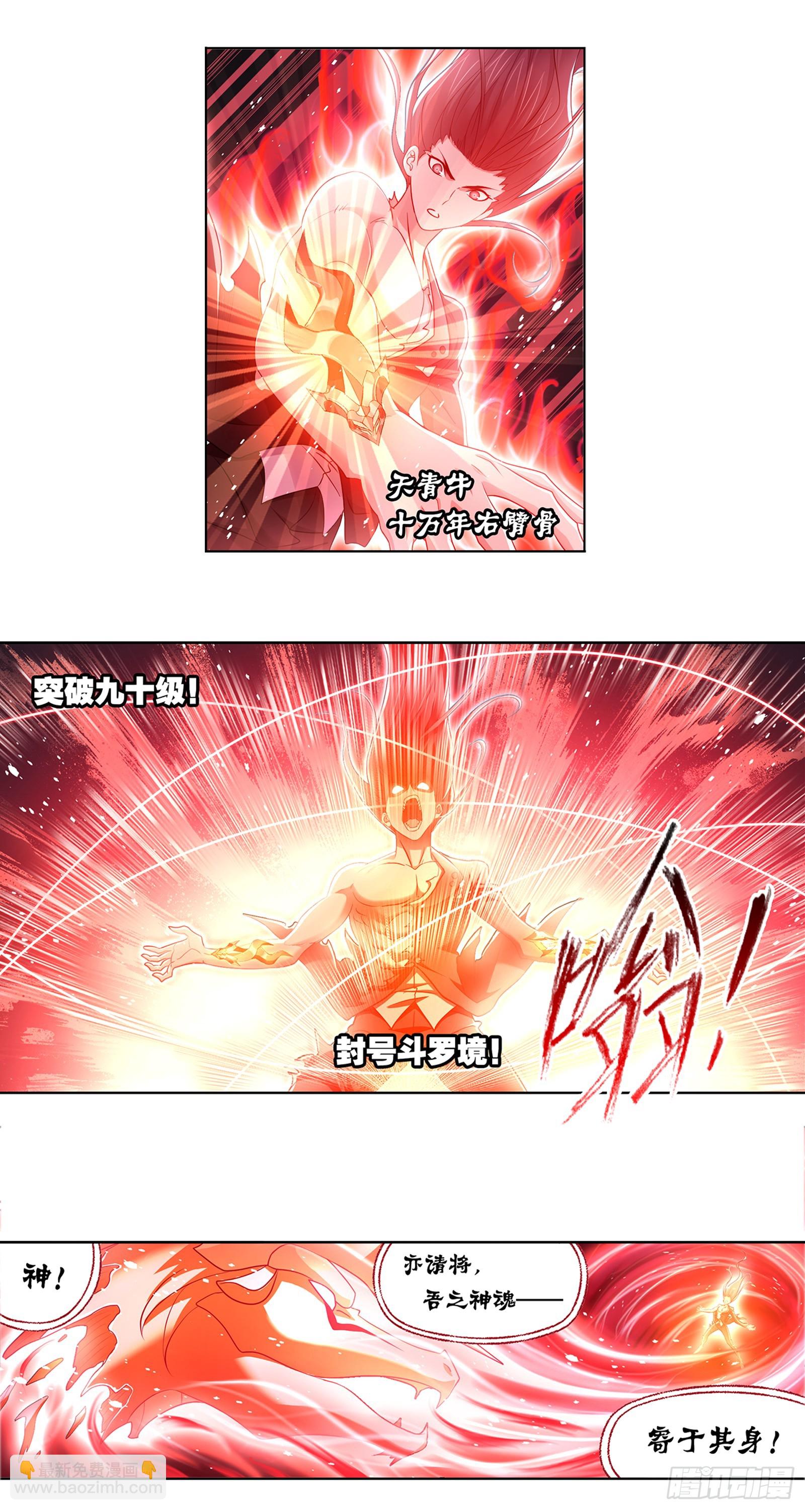 🍼斗罗大陆 第343话 献祭 第13页