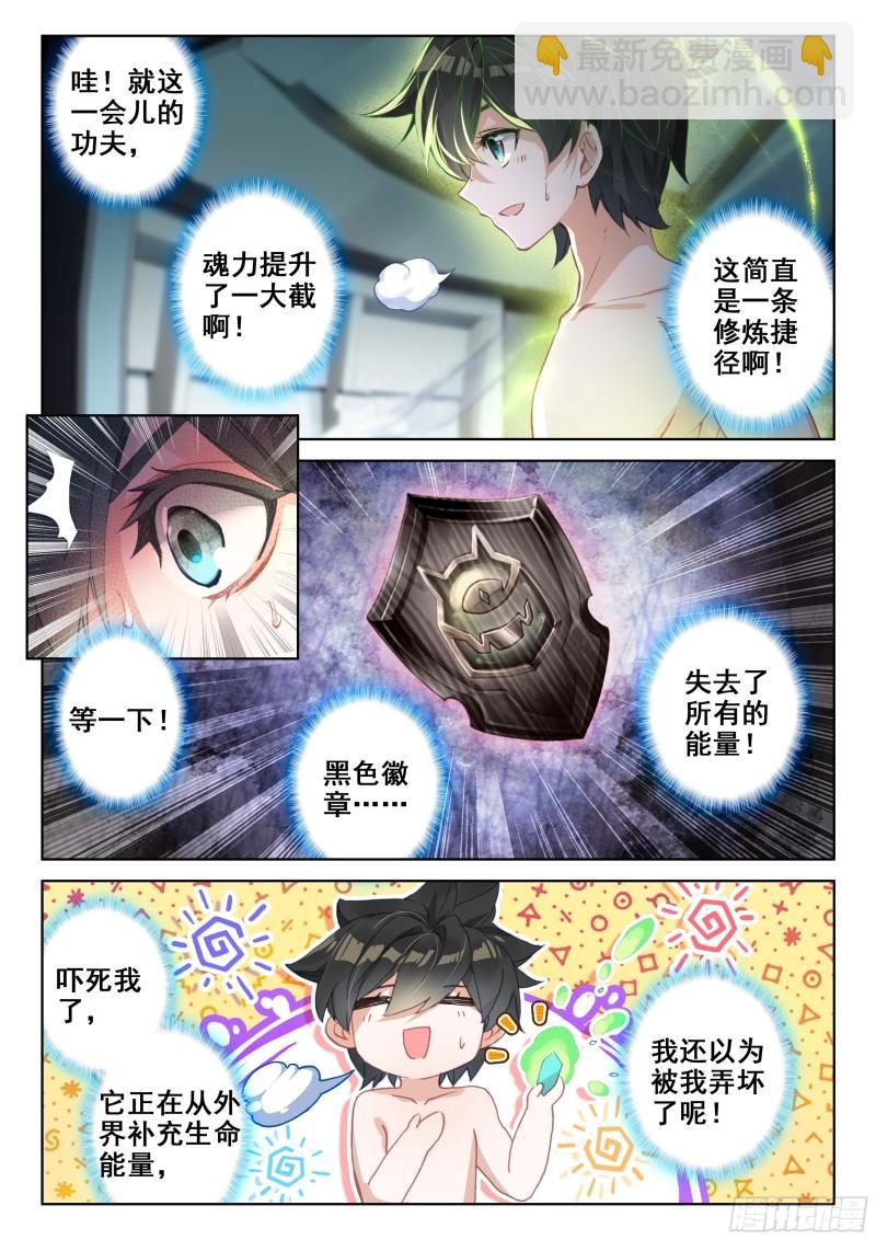 🍼斗罗大陆4终极斗罗 自创修炼法 第11页