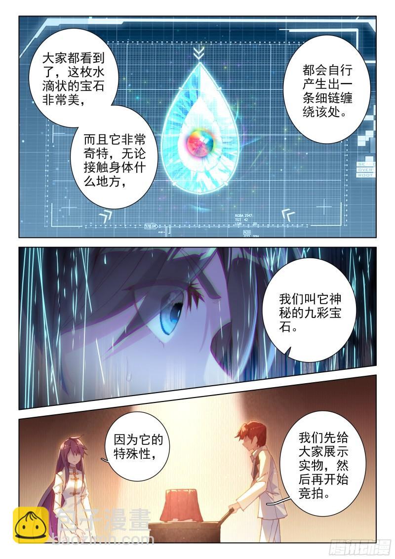 🍼斗罗大陆4终极斗罗 拍卖会 第13页