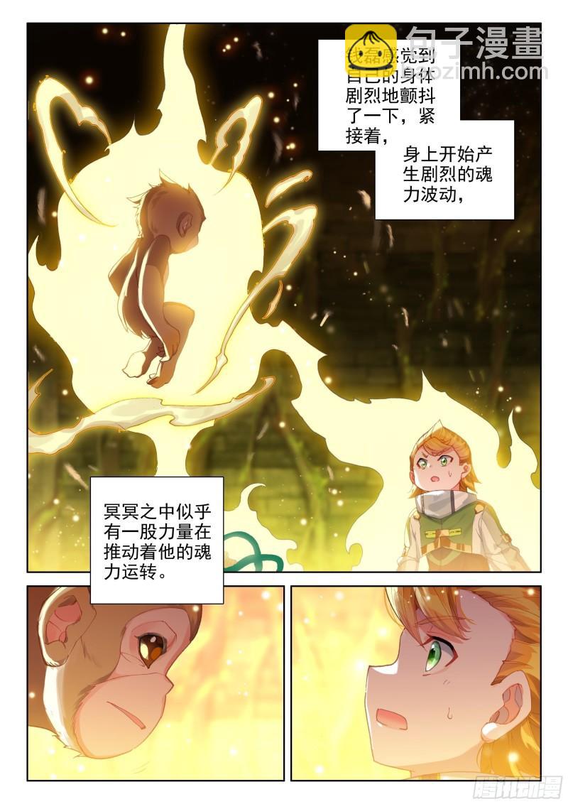 🍼斗罗大陆4终极斗罗 胖猩猩？ 第10页