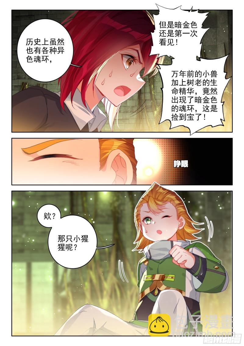 🍼斗罗大陆4终极斗罗 胖猩猩？ 第13页