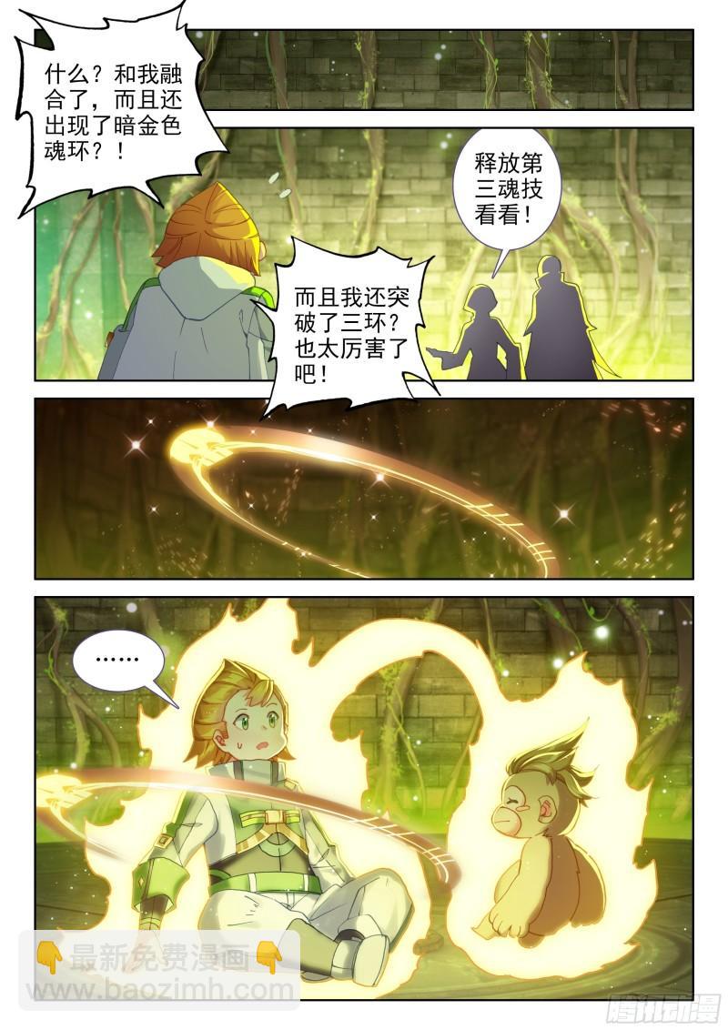 🍼斗罗大陆4终极斗罗 胖猩猩？ 第14页