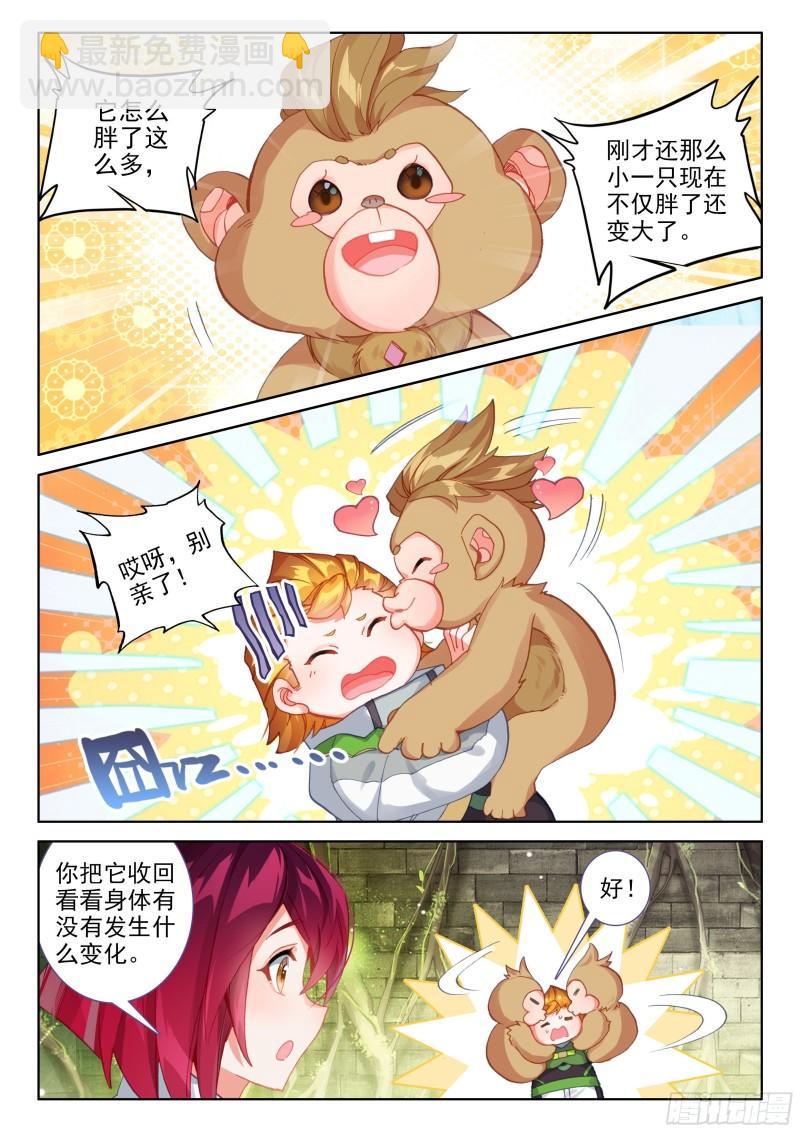 🍼斗罗大陆4终极斗罗 胖猩猩？ 第15页
