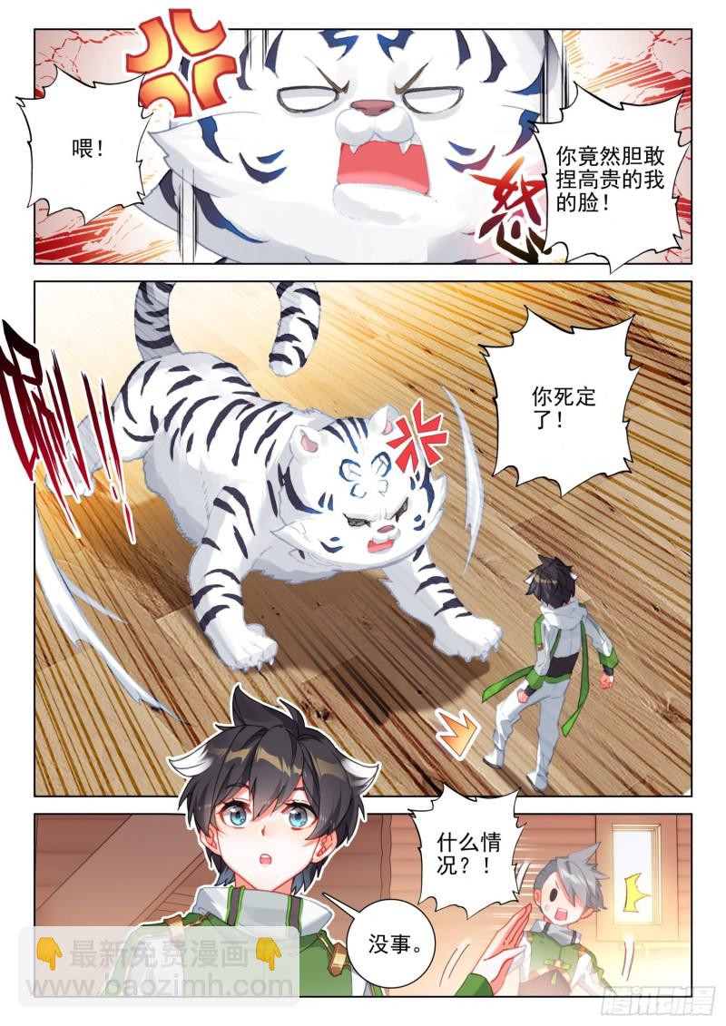 🍼斗罗大陆4终极斗罗 胜利 第11页