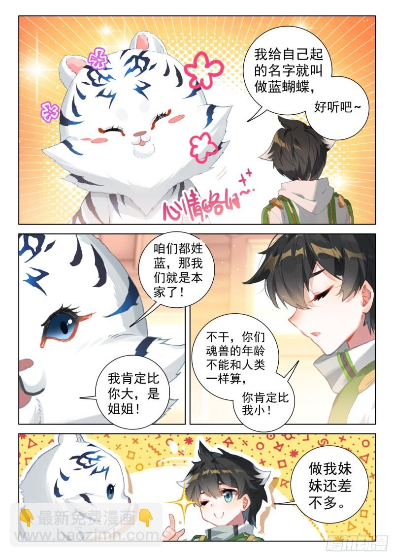 🍼斗罗大陆4终极斗罗 虎王蓝蝴蝶 第13页