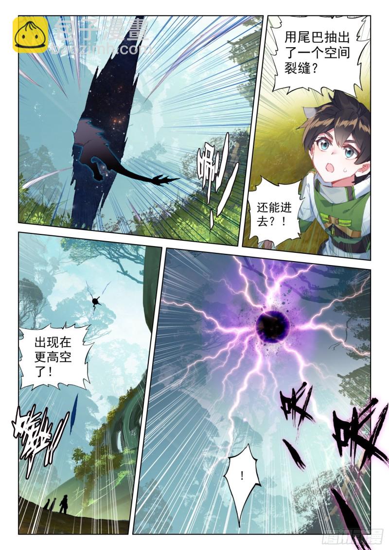 🍼斗罗大陆4终极斗罗 机缘的开始 第14页